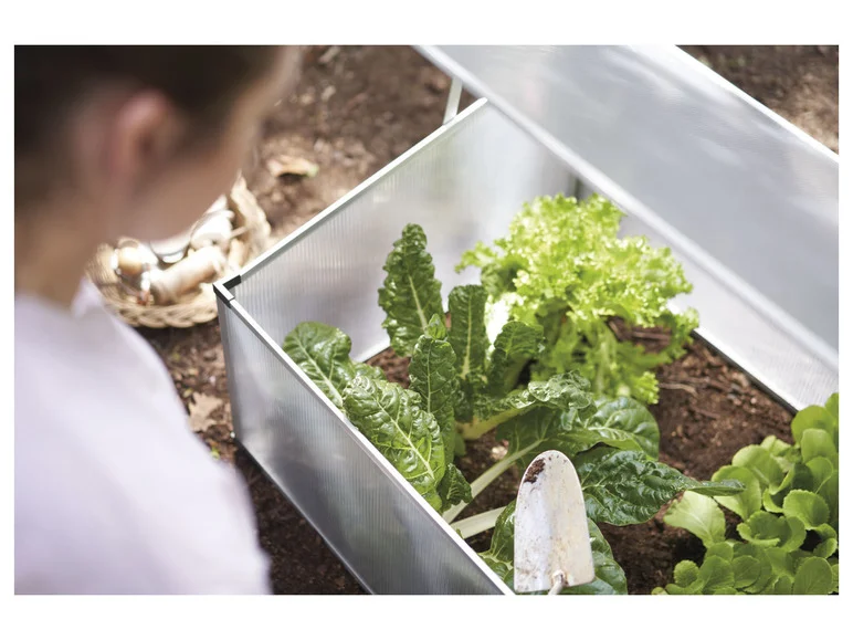 PARKSIDE® Mini-serre de jardin