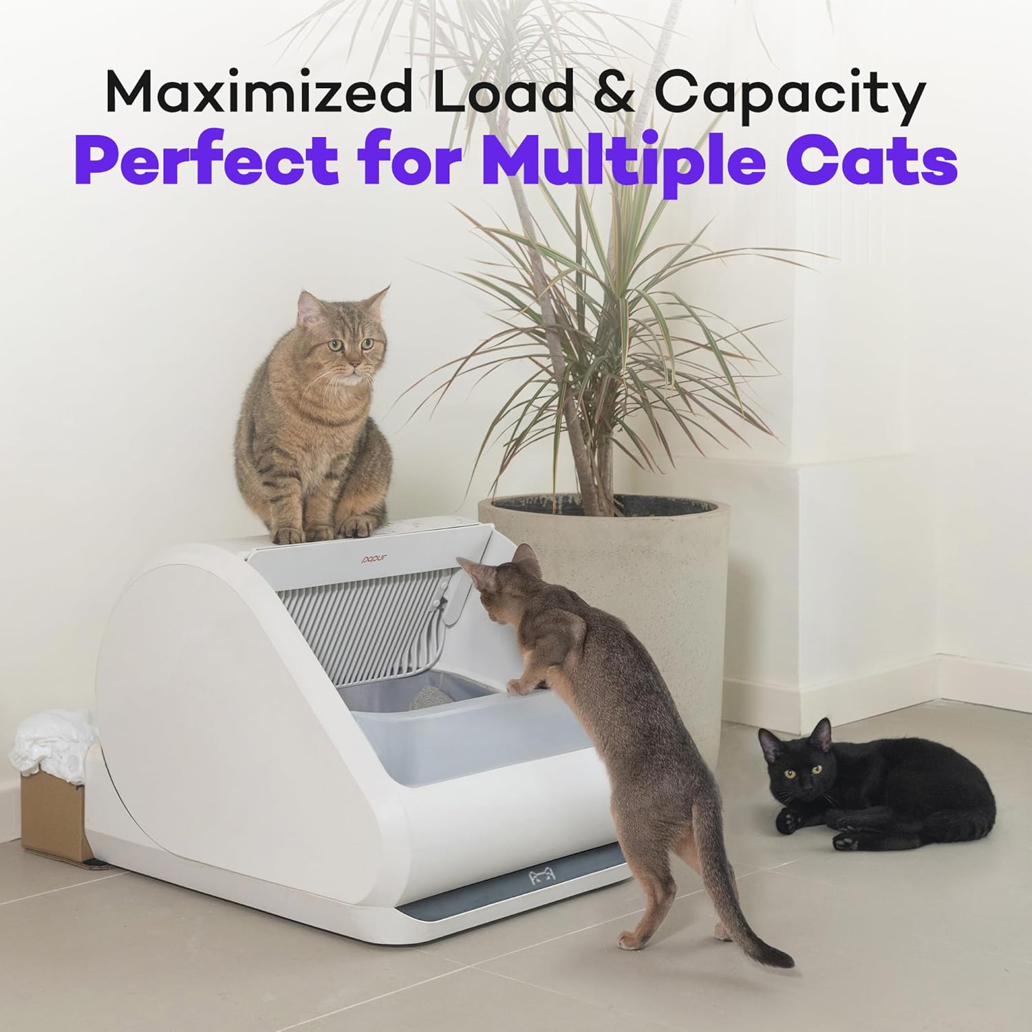 X5 Self-Cleaning Cat Litter Box - Unique Split System, Open Top, 30-Day Capacity - Automatic Litter Scooping Robot, Odor-Seal Disposable Cardboard Bin, 24 Inch Tray, 33 lbs. Load, 99% Leakproof