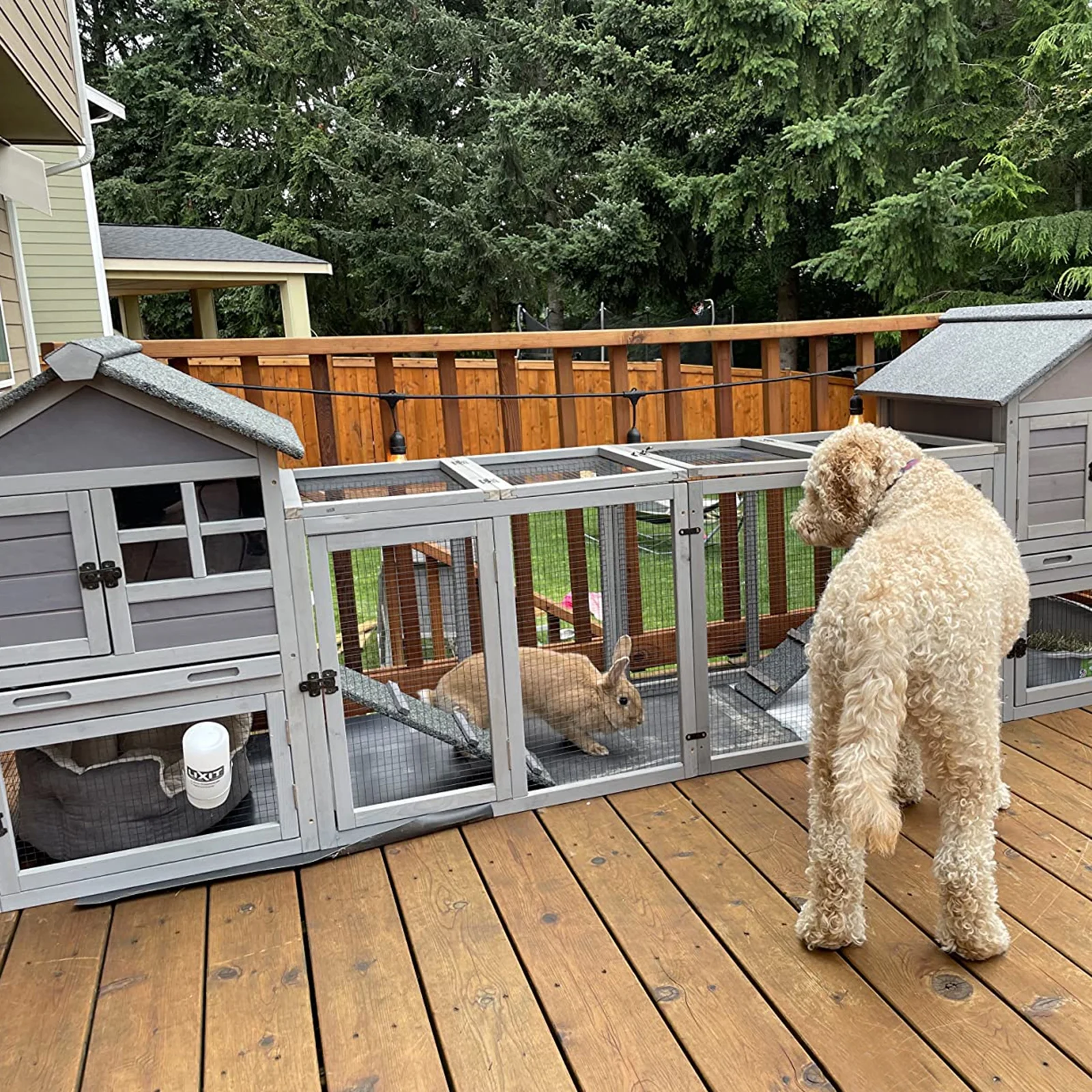 Rabbit Hutch Outdoor Bunny Hutch Indoor Rabbit Cage Wooden Habitat Small Animal Pet Poultry Cage