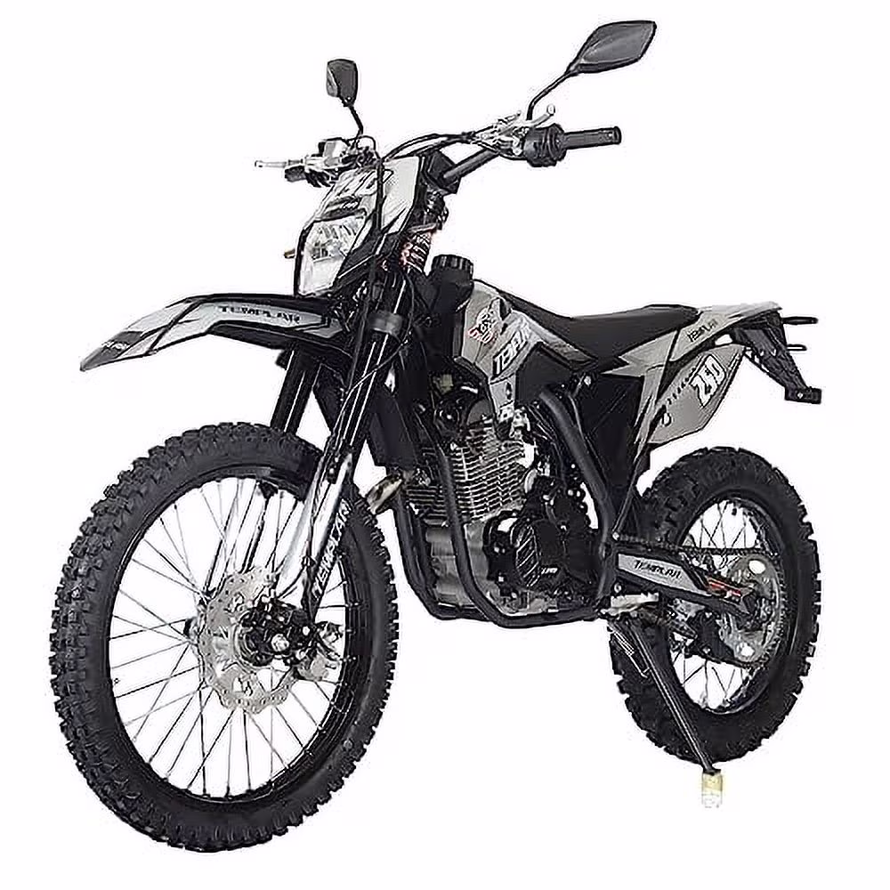 X-Pro Brand New Templar 250cc Zongshen Brand Engine Gas Dirt Bike Pit Bike with All Lights and 5-Speed Manual Transmission, Electric/Kick Start! Big 21